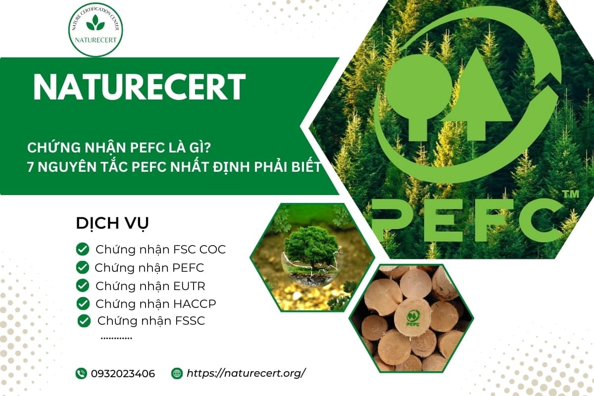 Chứng nhận PEFC là gì? 7 nguyên tắc PEFC nhất định phải biết