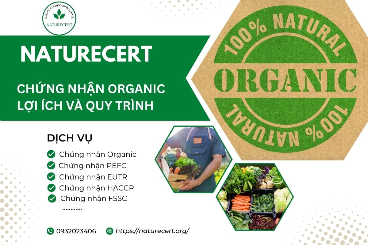 Chứng nhận Organic: Lợi ích và quy trình