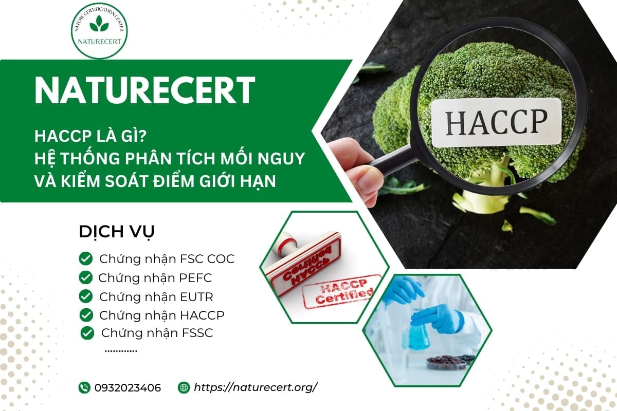 HACCP là gì? Hệ thống phân tích mối nguy và kiểm soát điểm tới hạn