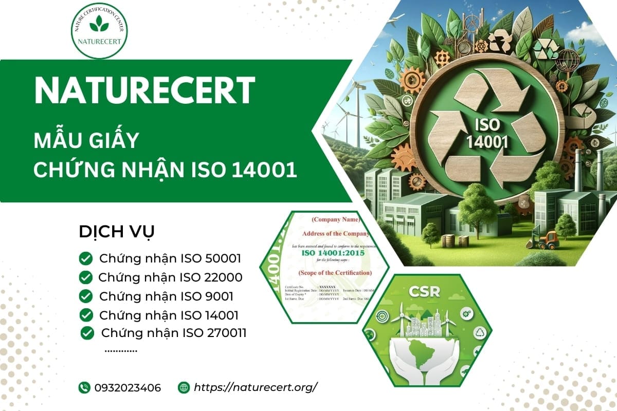 Mẫu giấy chứng nhận ISO 14001 hợp chuẩn 2025