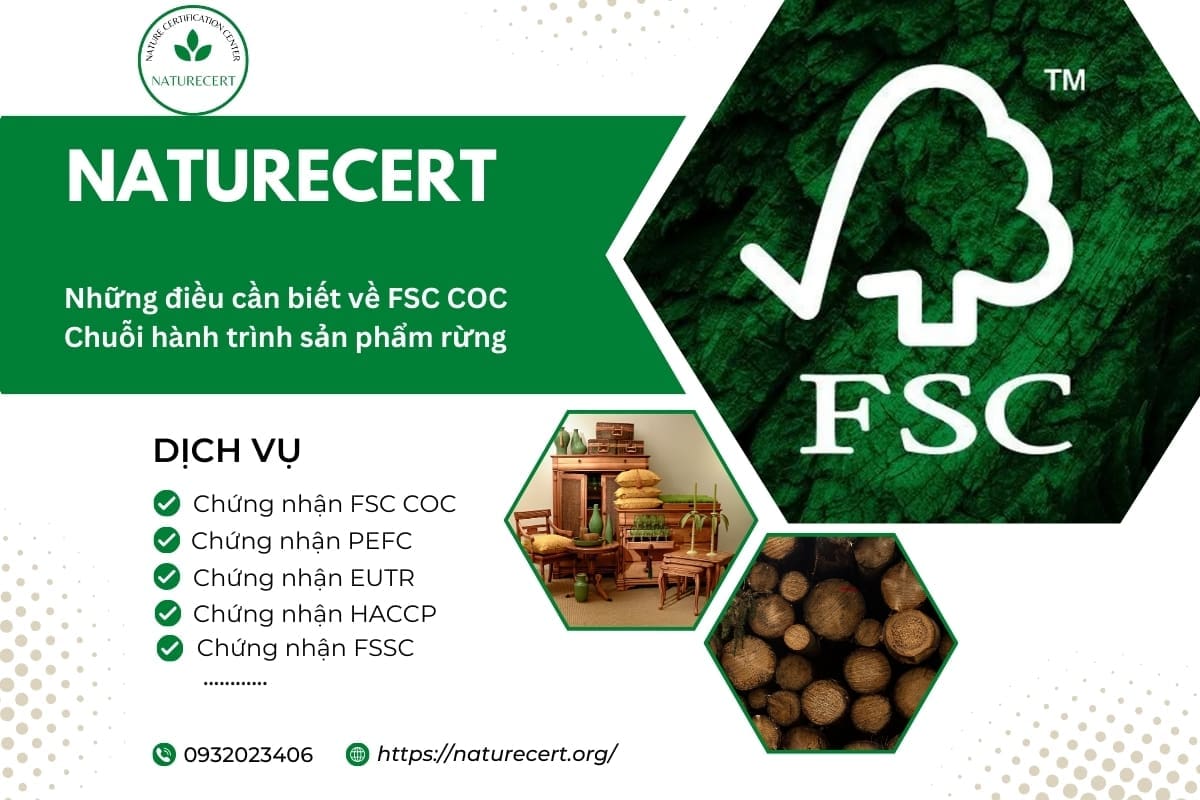 Những điều cần biết về FSC COC - Chuỗi hành trình sản phẩm rừng