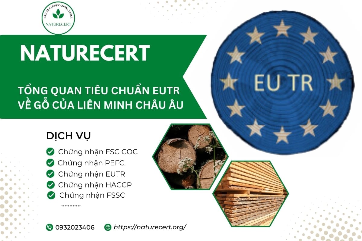 Tổng quan tiêu chuẩn EUTR về gỗ của liên minh Châu Âu
