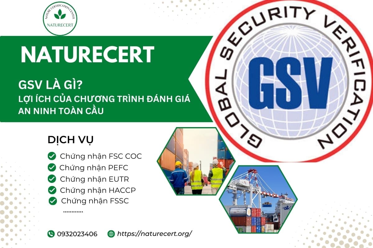 GSV là gì? Lợi ích của chương trình đánh giá an ninh toàn cầu