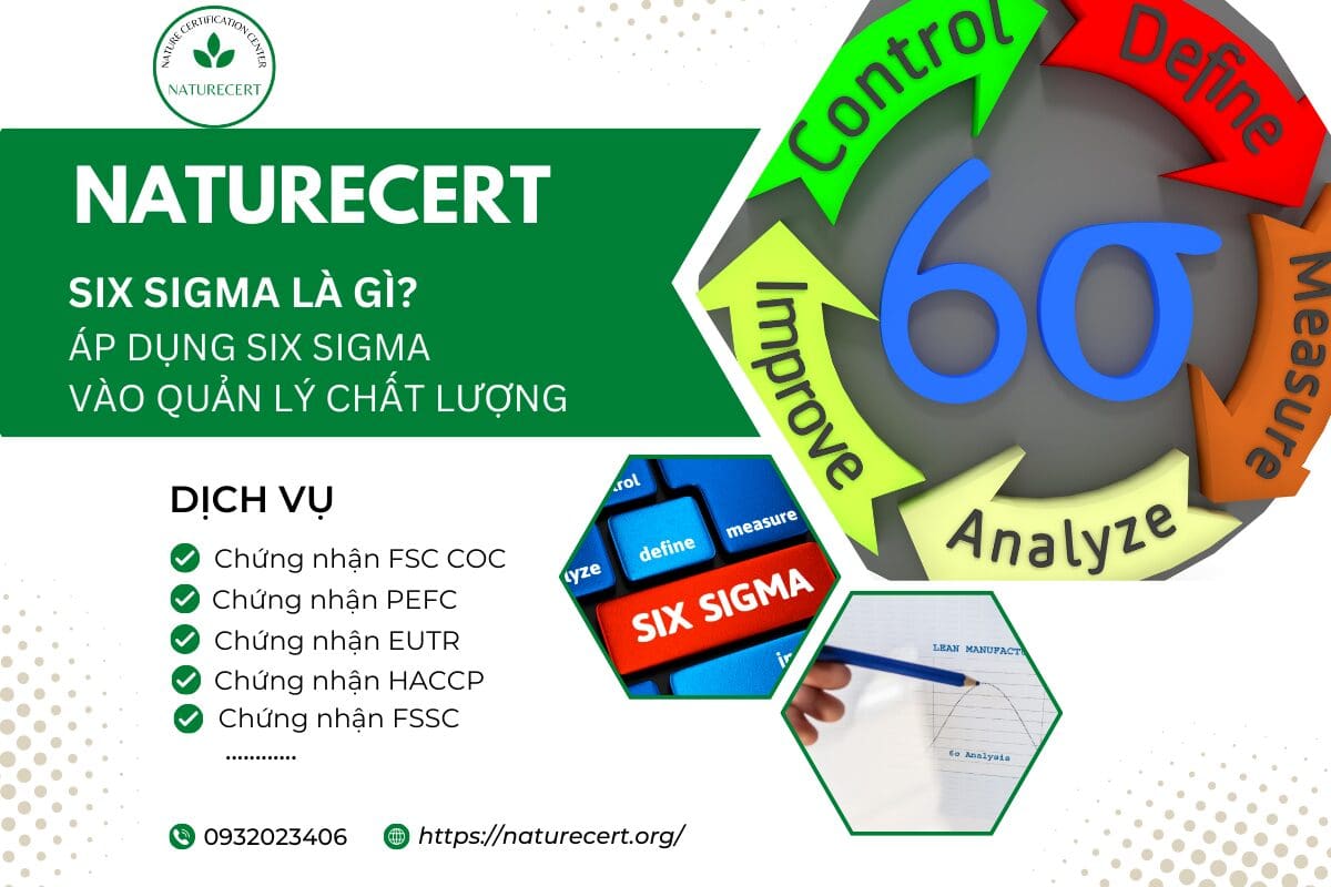 Six Sigma là gì? Áp dụng Six Sigma vào quản lý chất lượng