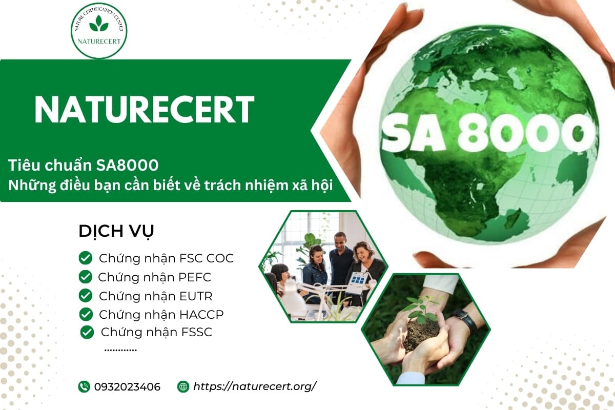 Tiêu chuẩn SA8000: Những điều bạn cần biết về trách nhiệm xã hội