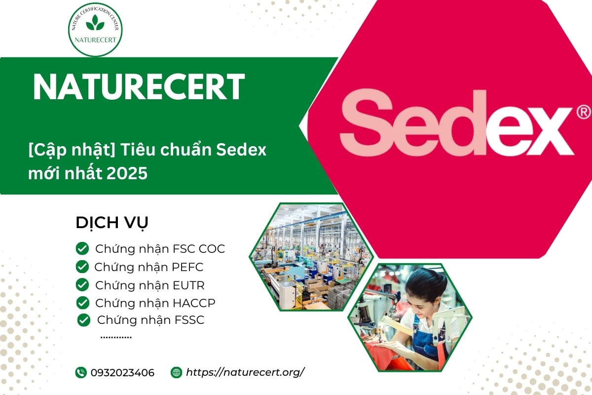 [Cập nhật] Tiêu chuẩn Sedex mới nhất 2025