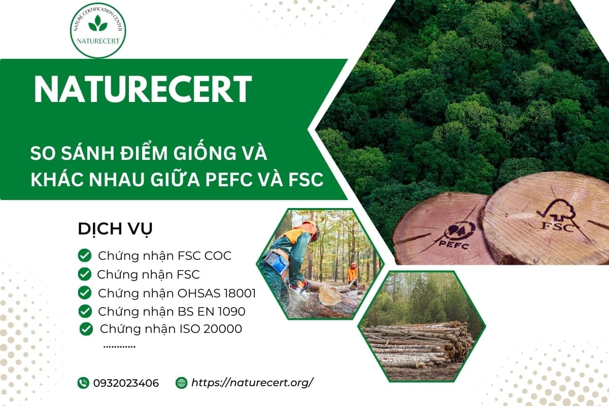 So sánh điểm giống và khác nhau giữa PEFC và FSC