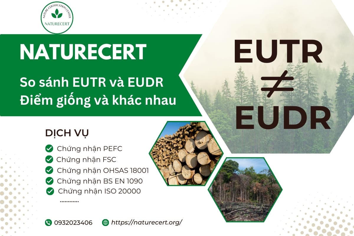 So sánh EUTR và EUDR: Điểm giống và khác nhau