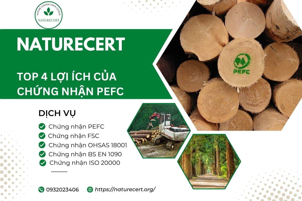 Top 4 lợi ích của chứng nhận PEFC mang lại cho doanh nghiệp