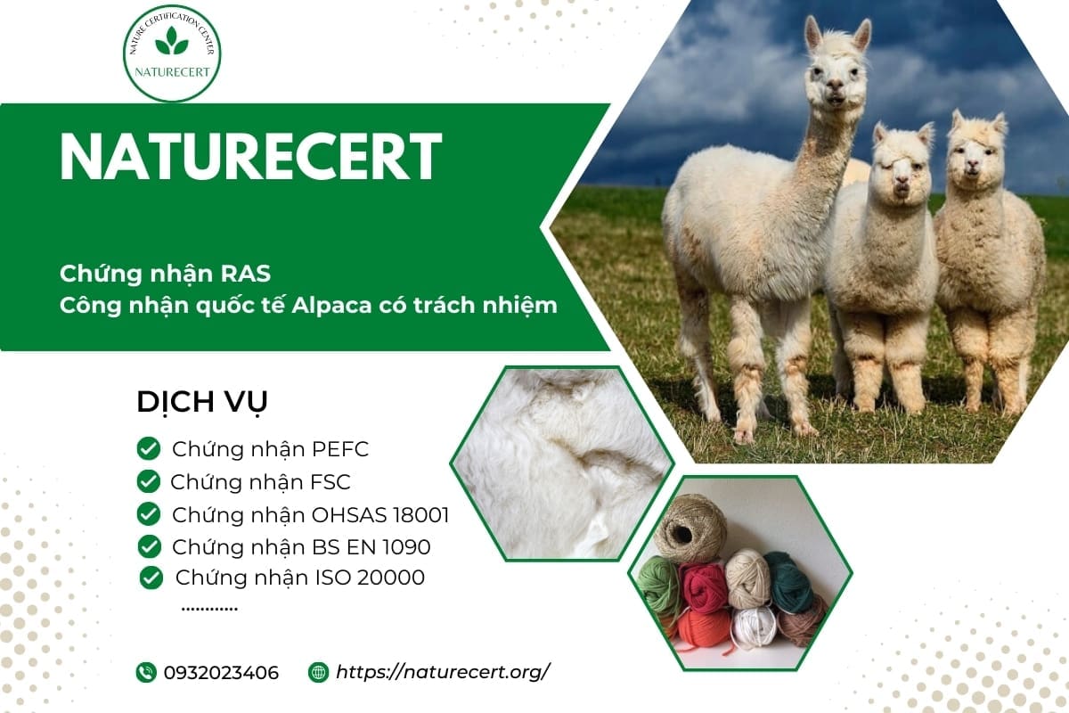 Chứng nhận RAS - Công nhận quốc tế Alpaca có trách nhiệm 