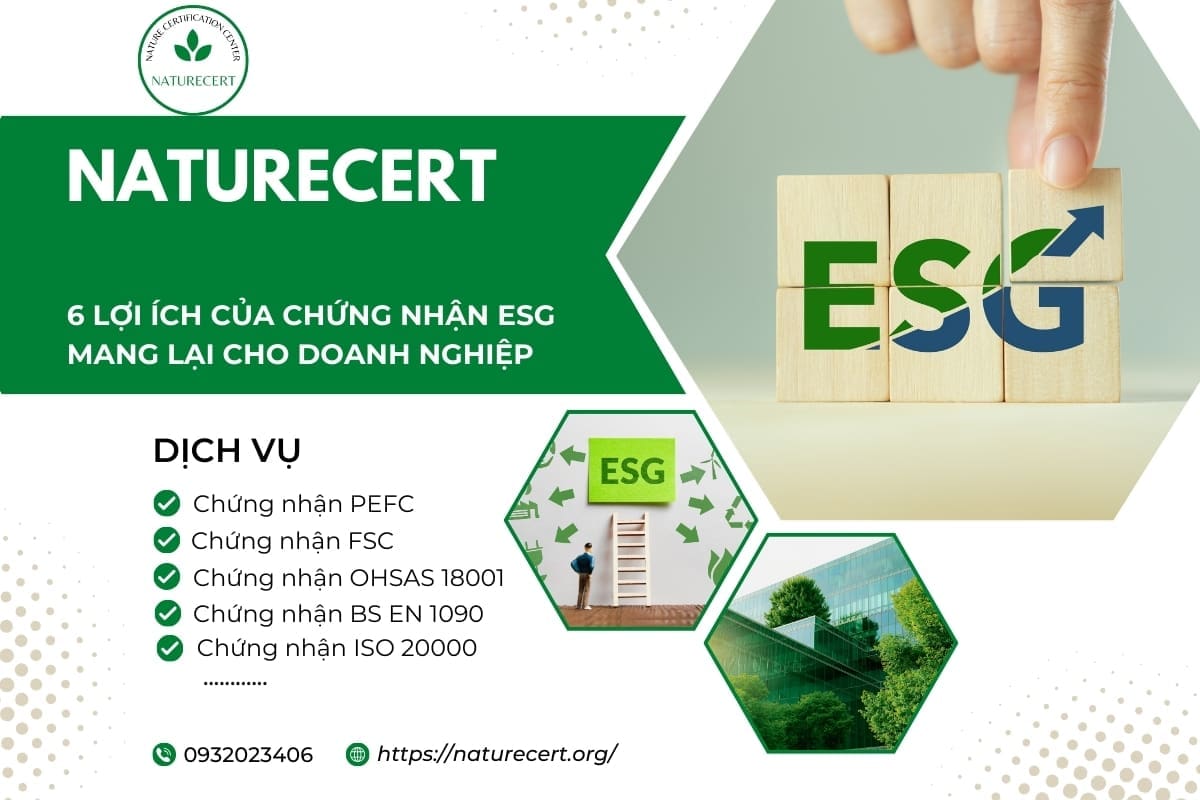 6 lợi ích của chứng nhận ESG mang lại cho doanh nghiệp