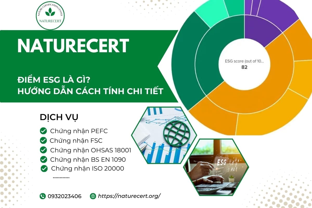 Điểm ESG là gì? Hướng dẫn cách tính chi tiết