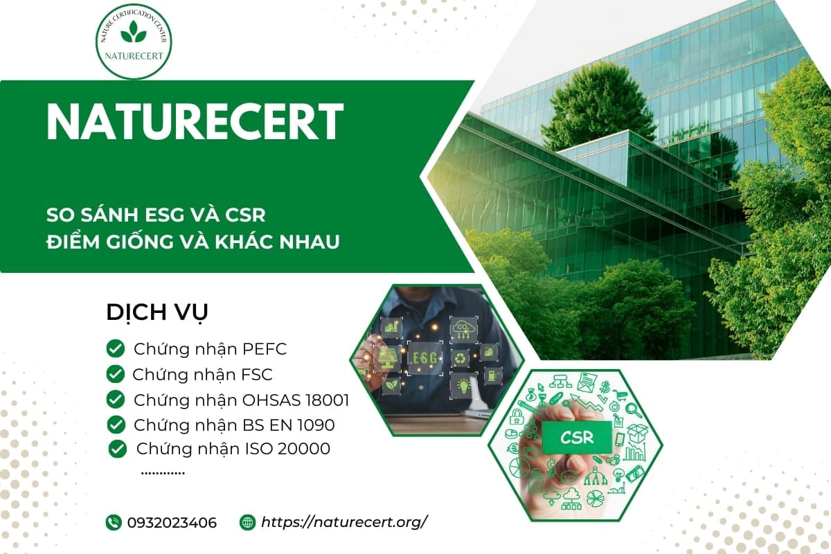 So sánh ESG và CSR: Điểm giống và khác nhau
