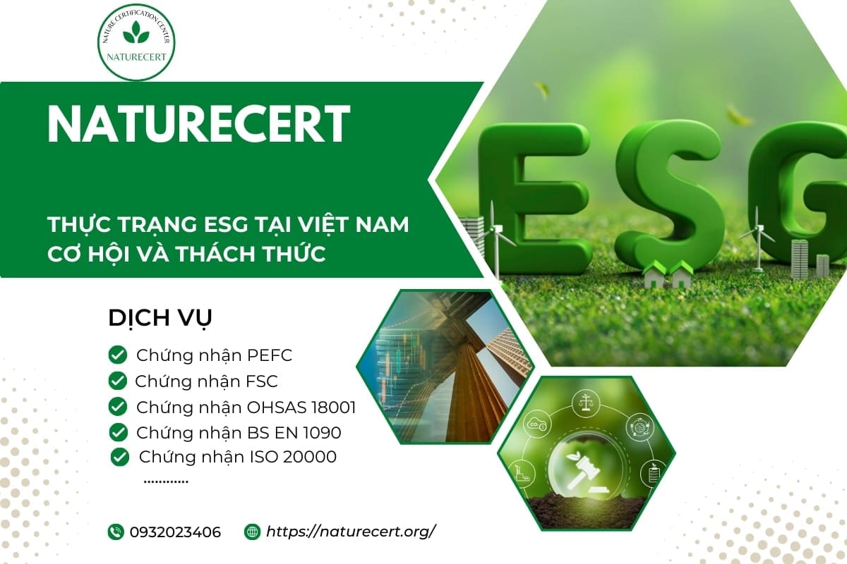 Thực trạng ESG tại Việt Nam: Cơ hội và thách thức