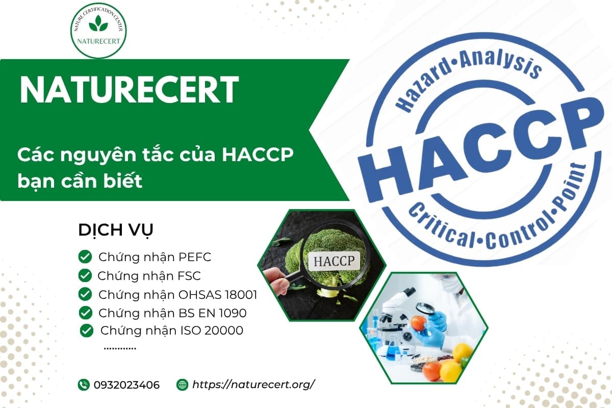 Các nguyên tắc của HACCP bạn cần biết