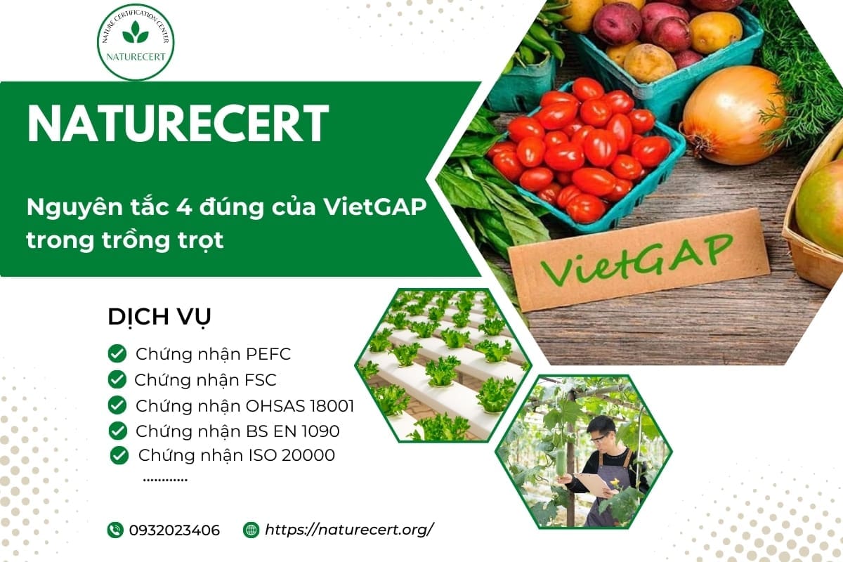Nguyên tắc 4 đúng của VietGAP trong trồng trọt