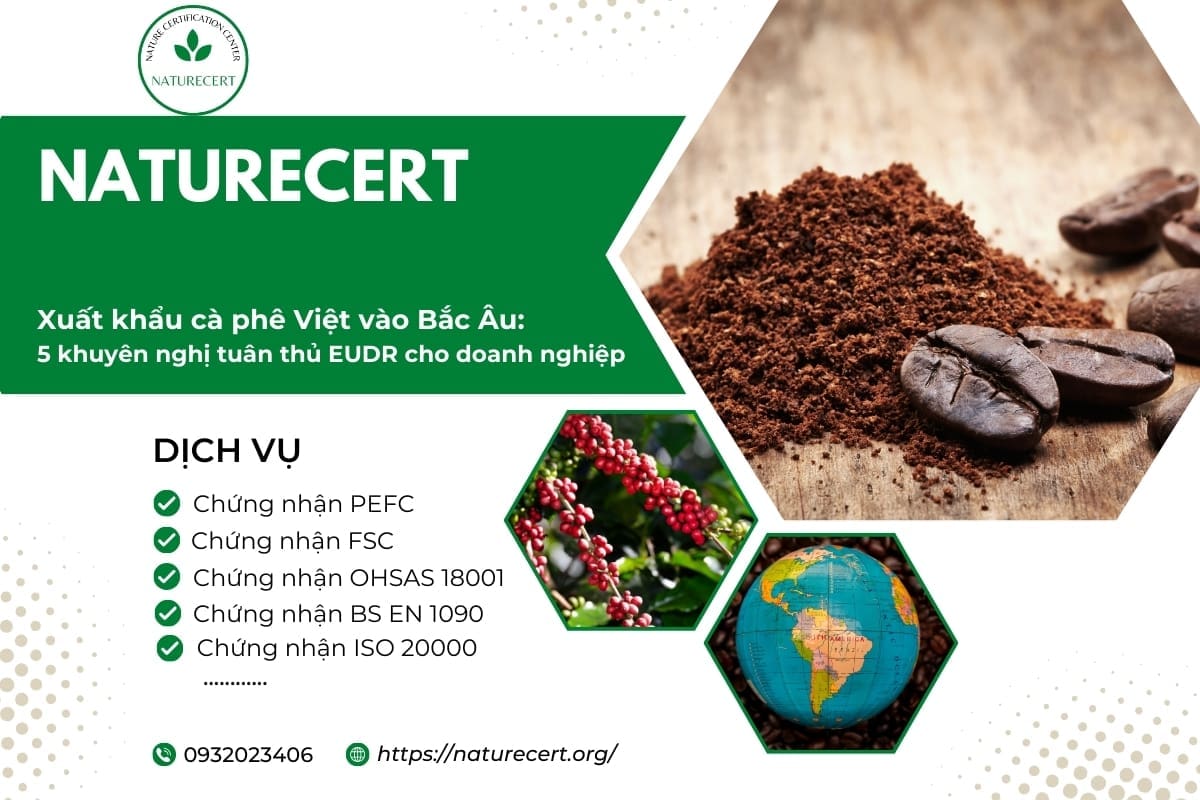 Xuất khẩu cà phê Việt vào Bắc Âu: 5 khuyên nghị tuân thủ EUDR cho doanh nghiệp