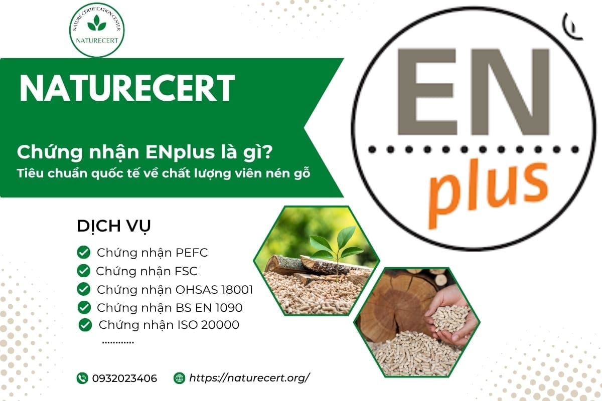Chứng nhận ENplus là gì? Tiêu chuẩn quốc tế về chất lượng viên nén gỗ 