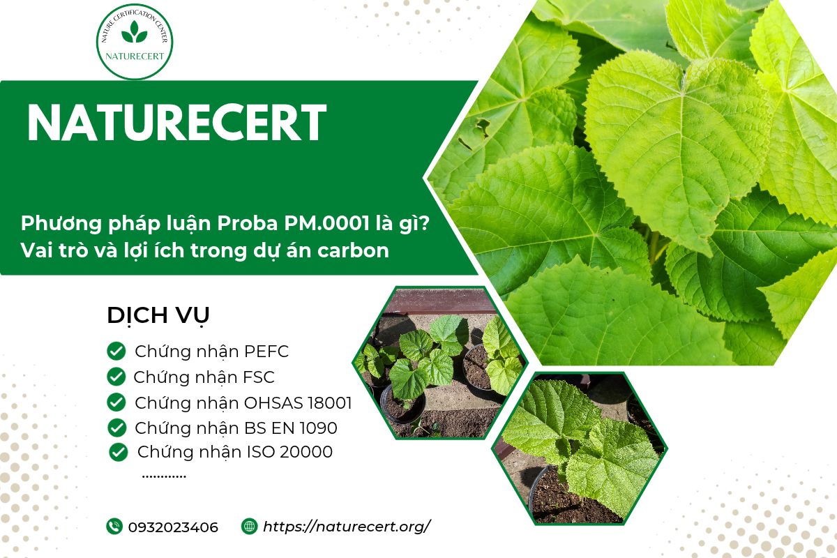Phương pháp luận Proba PM.0001 là gì? Vai trò và lợi ích trong dự án carbon